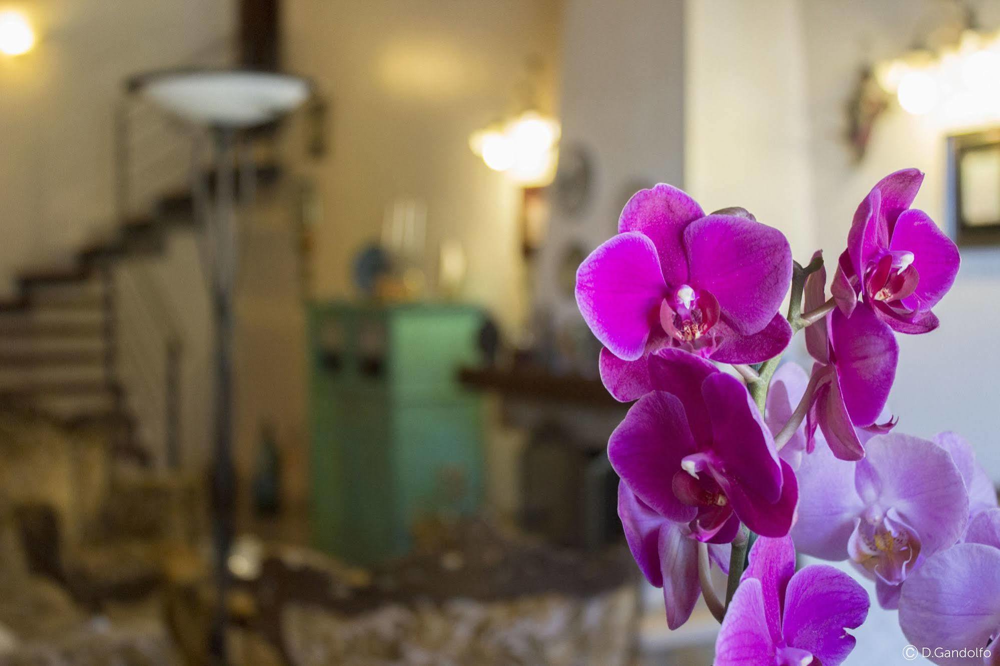 Villa Gagliardetta Castellammare del Golfo Kültér fotó